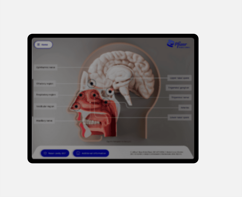 Anatomy app on tablet device
